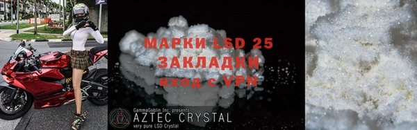 прущие грибы Алзамай
