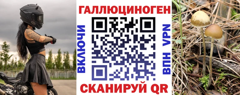 Галлюциногенные грибы MAGIC MUSHROOMS  дарк нет состав  Аша 