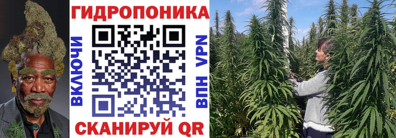 МАРИХУАНА план Аша